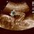 Charles Luke's profile image