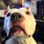 Beth Hatala's profile image