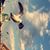 Cole Frederick's profile image