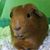 Nancy McClay Kent's profile image
