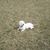 David Snider's profile image