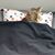 Marcia Gauer's profile image