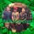 Joyce Bronner Black's profile image