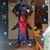 Kassie Lee Ostrom-Higglesberry Holck's profile image