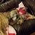 Tania Rieber's profile image