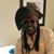 Milton Williamson's profile image