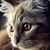 Debbie Blatnik Kocsis's profile image