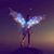 Nadine Lachanelle's profile image