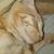 Jessica Turnley's profile image