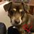 Jennifer Gardner Turner's profile image
