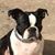 Lanora F. Doud's profile image