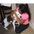 Allison McGee's profile image