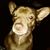 Maria Adams's profile image