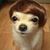 Gay Gabrilska's profile image