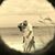 Phil N Pam Baker's profile image