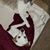 Pamela Bagwell's profile image