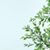 Mint Ng's profile image