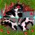 Mark Scales's profile image