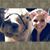 Rachel Renae's profile image