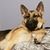 Judith Langevin Young's profile image
