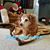 Jeannie Oeltjenbruns Timmons's profile image