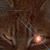 Kristina Ferguson's profile image