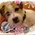 Tammy Fletcher's profile image