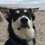 Jane Cathers's profile image