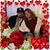 Patricia Altamirano's profile image