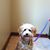Sheri Jackson's profile image
