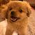 Marianna Chung's profile image