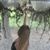Ashley Hughes's profile image