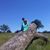 Rita Cronin's profile image