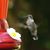 Brenda Wightman-Langley's profile image