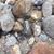 Sue Conway Abbate's profile image