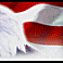 James Rowe's profile image