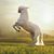 Larisha Shelman's profile image