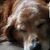 Jennifer Chambers's profile image