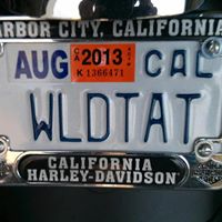 David Warren's profile image