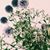 Sylvia Matlock's profile image