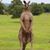 Brian LaBarge's profile image