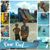 Pamala Thurber's profile image