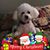 Glenn LaFara's profile image