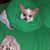 Gretta Ann's profile image