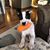 Darcy Ewert-Roll's profile image
