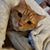 Christine Henderly's profile image