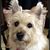 Susan Shepherd Watkins's profile image