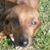 Burnitta Klaer's profile image