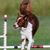 Laura Wenzel's profile image