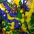 Wendi Lohr Lewis's profile image